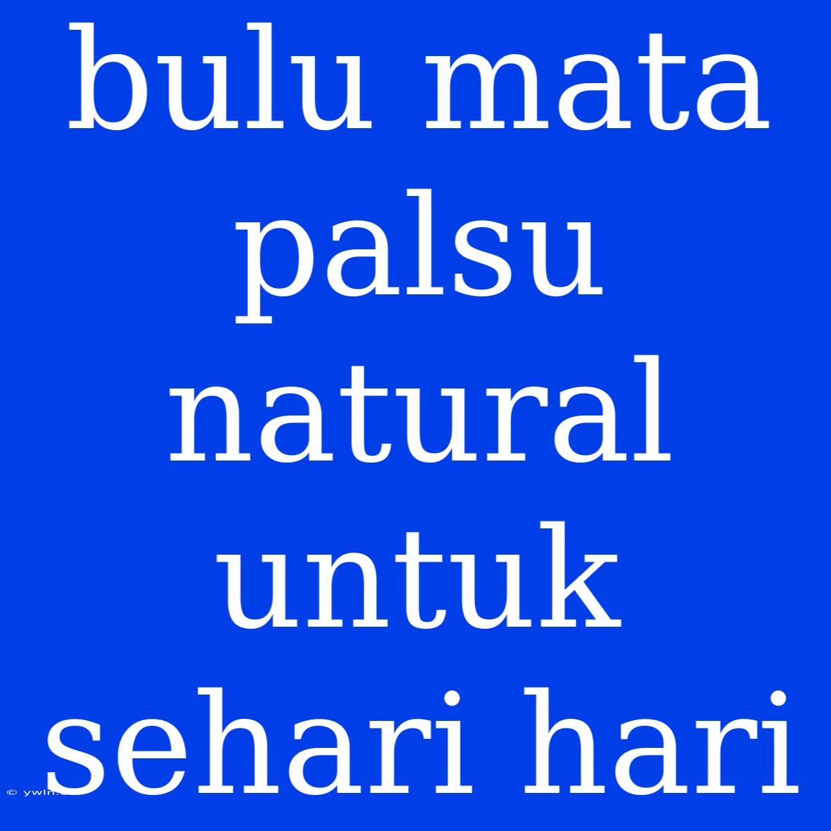 Bulu Mata Palsu Natural Untuk Sehari Hari