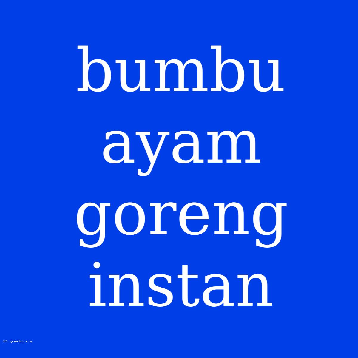 Bumbu Ayam Goreng Instan