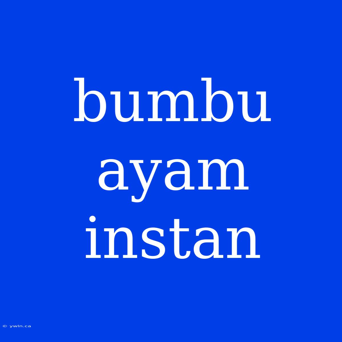 Bumbu Ayam Instan