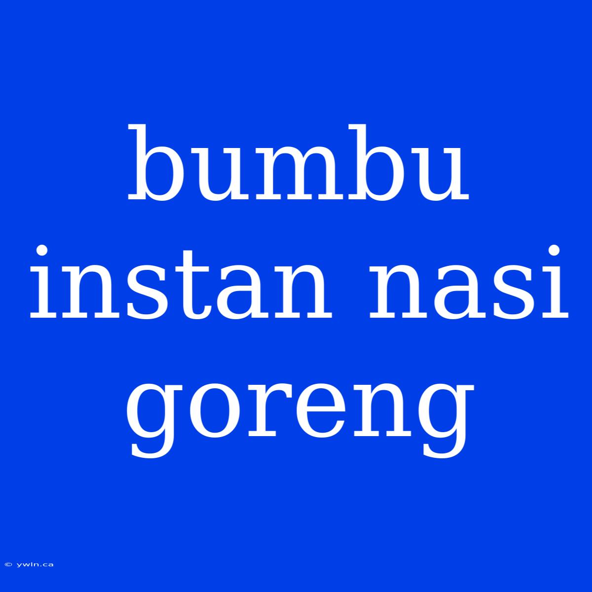 Bumbu Instan Nasi Goreng