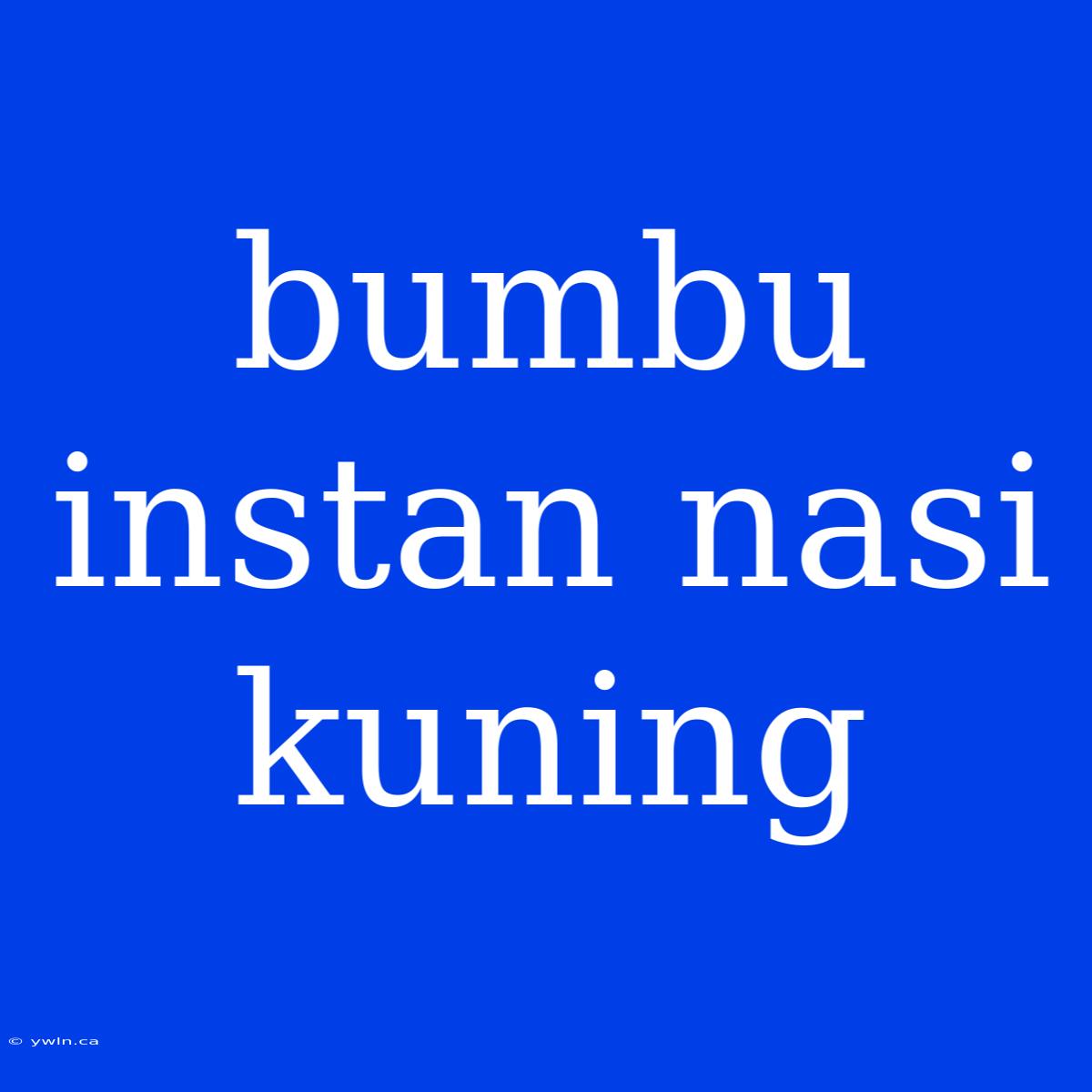 Bumbu Instan Nasi Kuning