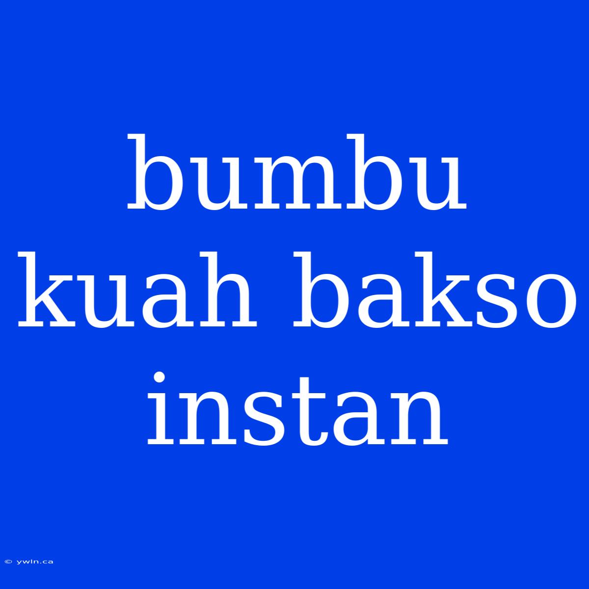 Bumbu Kuah Bakso Instan