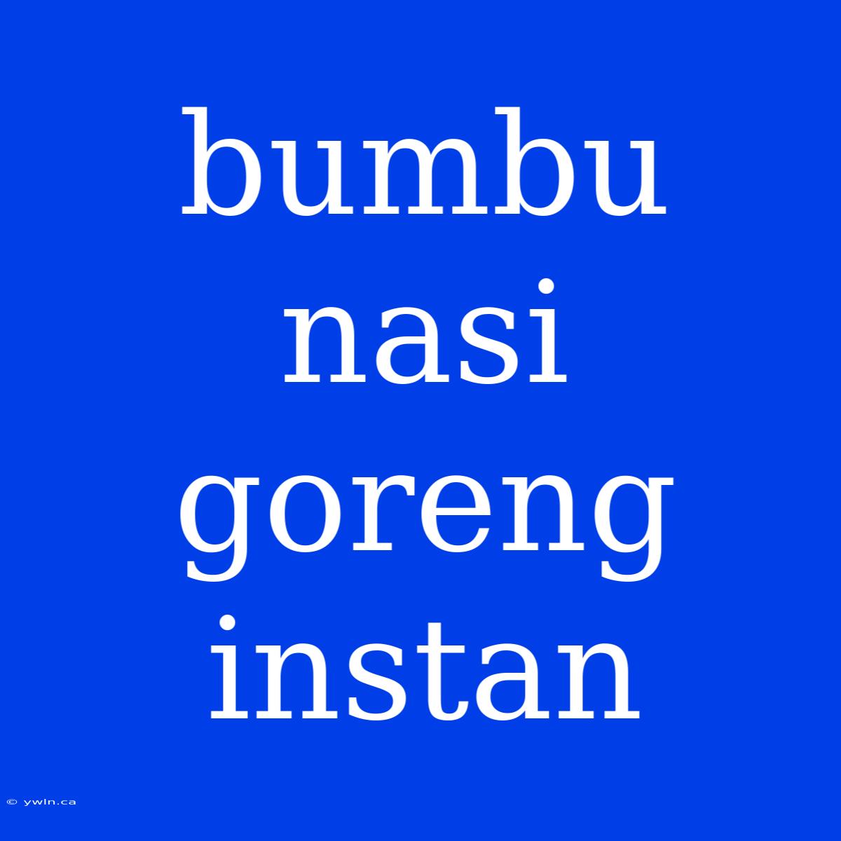 Bumbu Nasi Goreng Instan