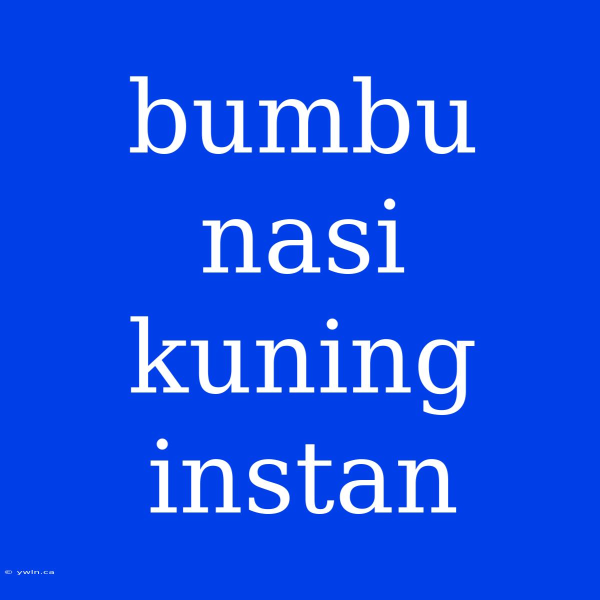 Bumbu Nasi Kuning Instan