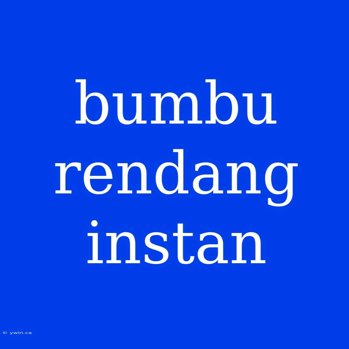 Bumbu Rendang Instan