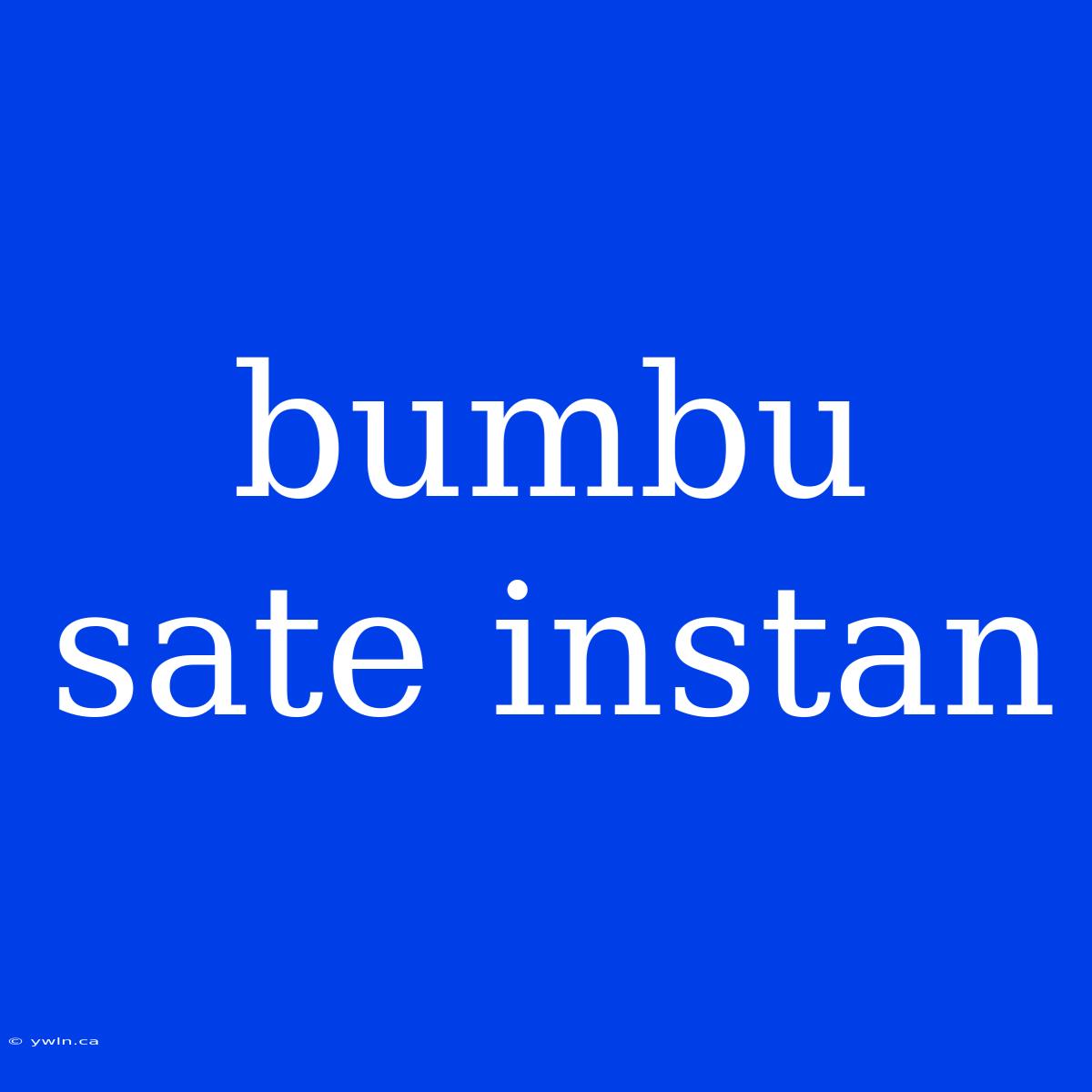 Bumbu Sate Instan