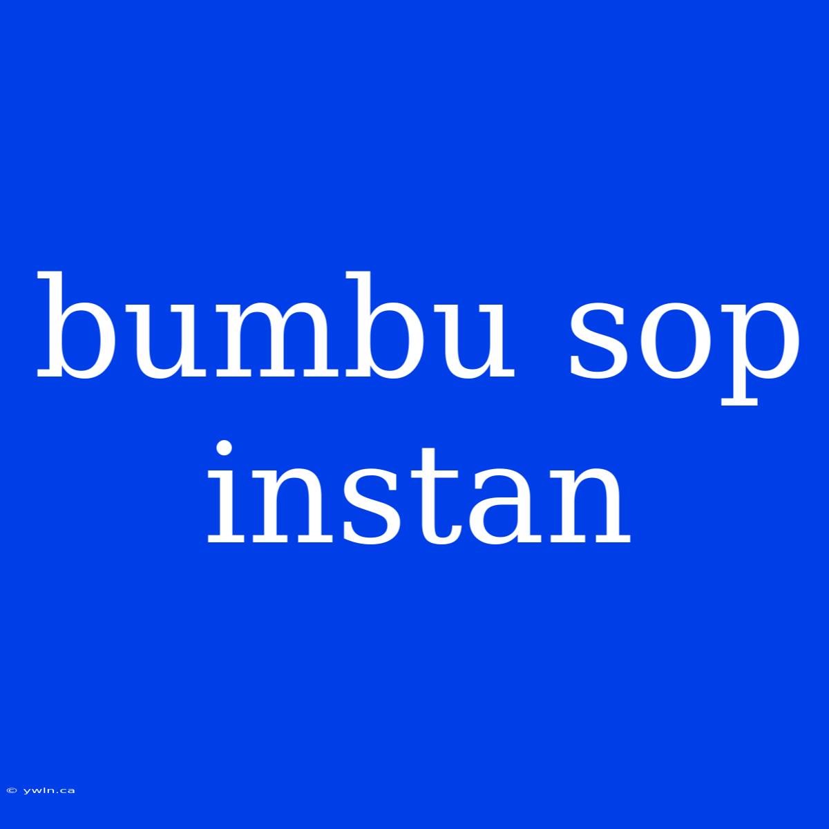 Bumbu Sop Instan