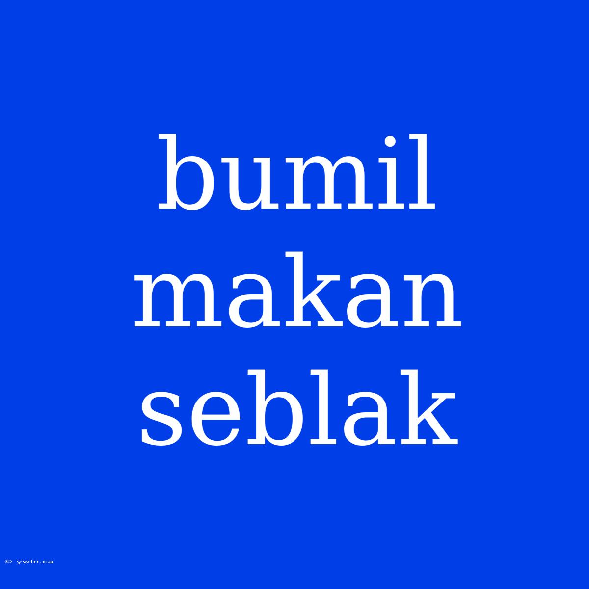 Bumil Makan Seblak