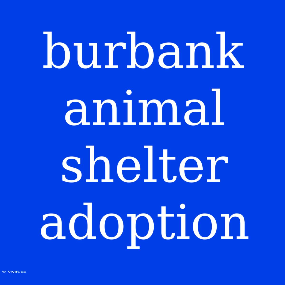 Burbank Animal Shelter Adoption