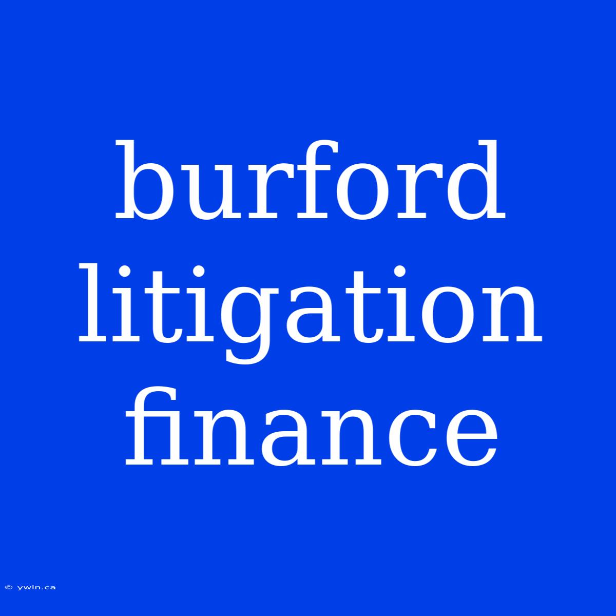 Burford Litigation Finance