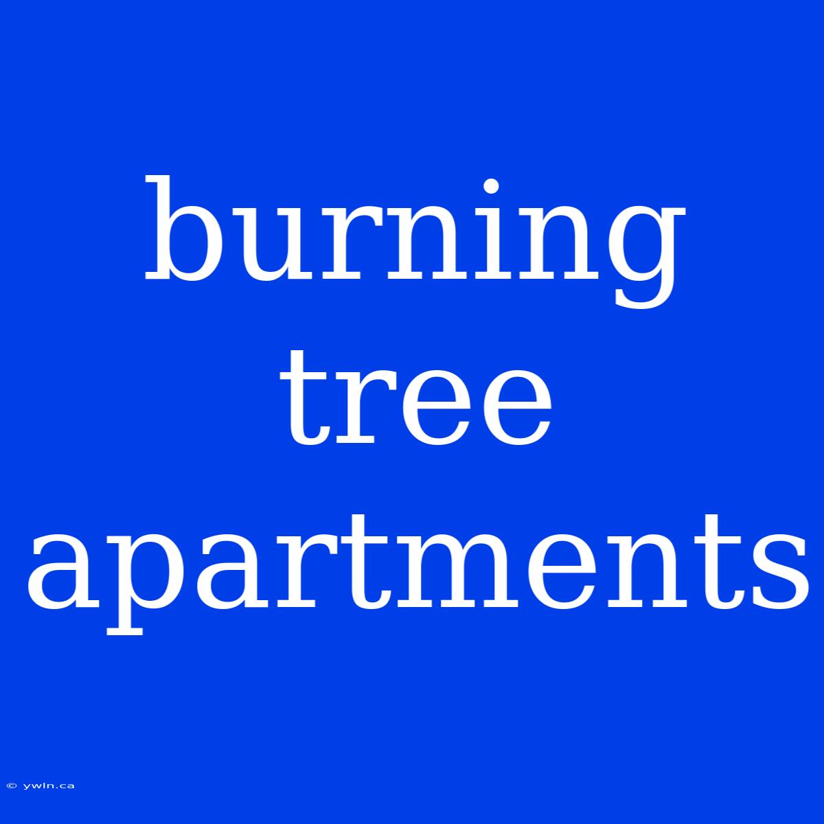 Burning Tree Apartments