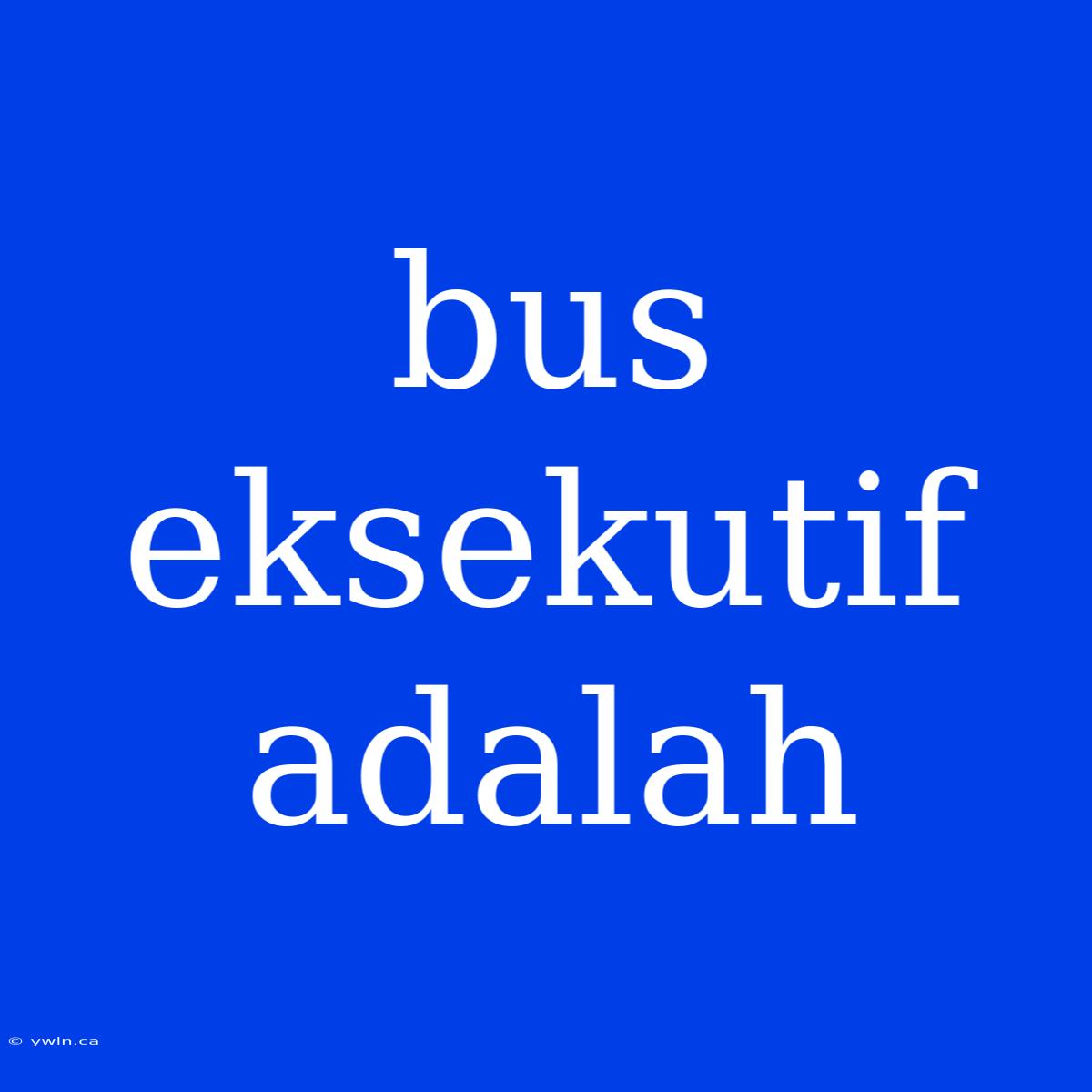 Bus Eksekutif Adalah