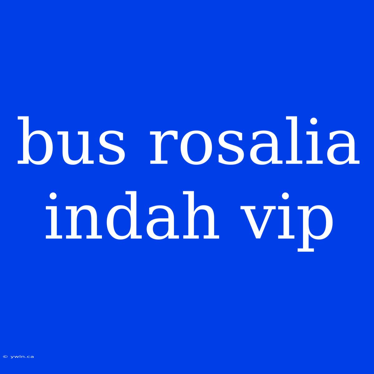 Bus Rosalia Indah Vip