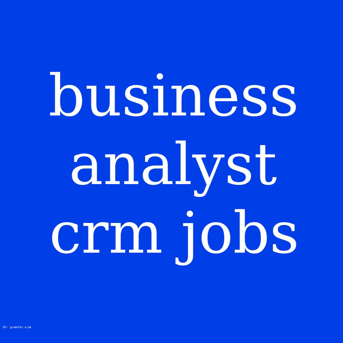 Business Analyst Crm Jobs