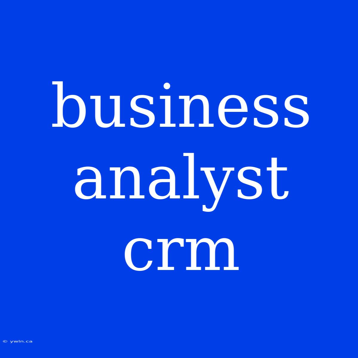 Business Analyst Crm