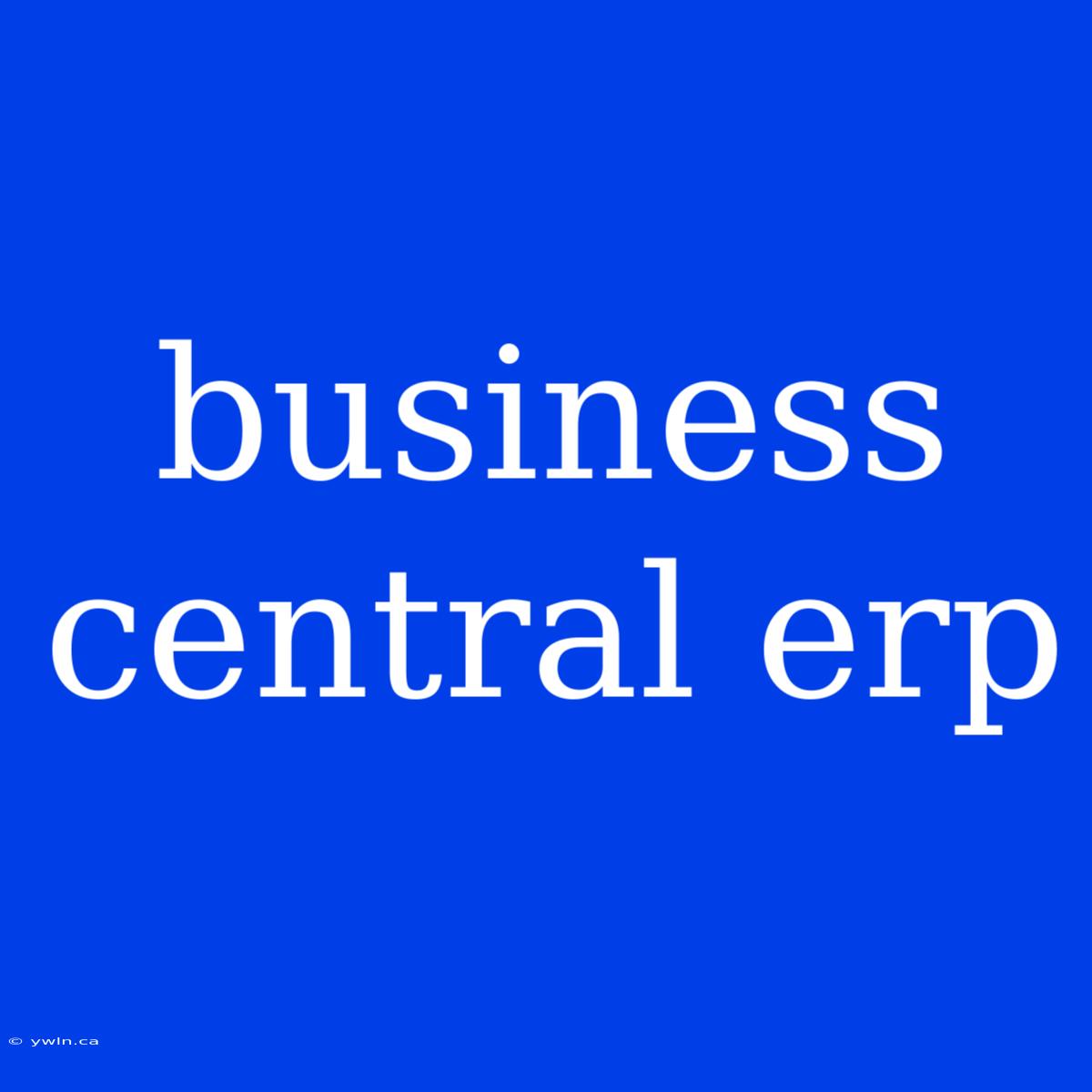 Business Central Erp