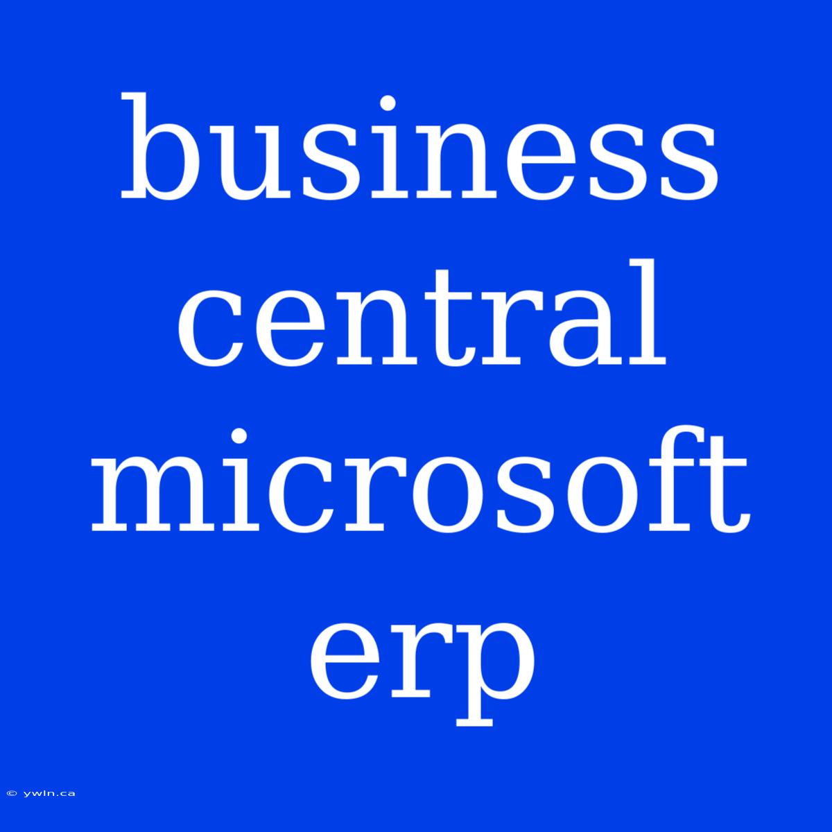 Business Central Microsoft Erp