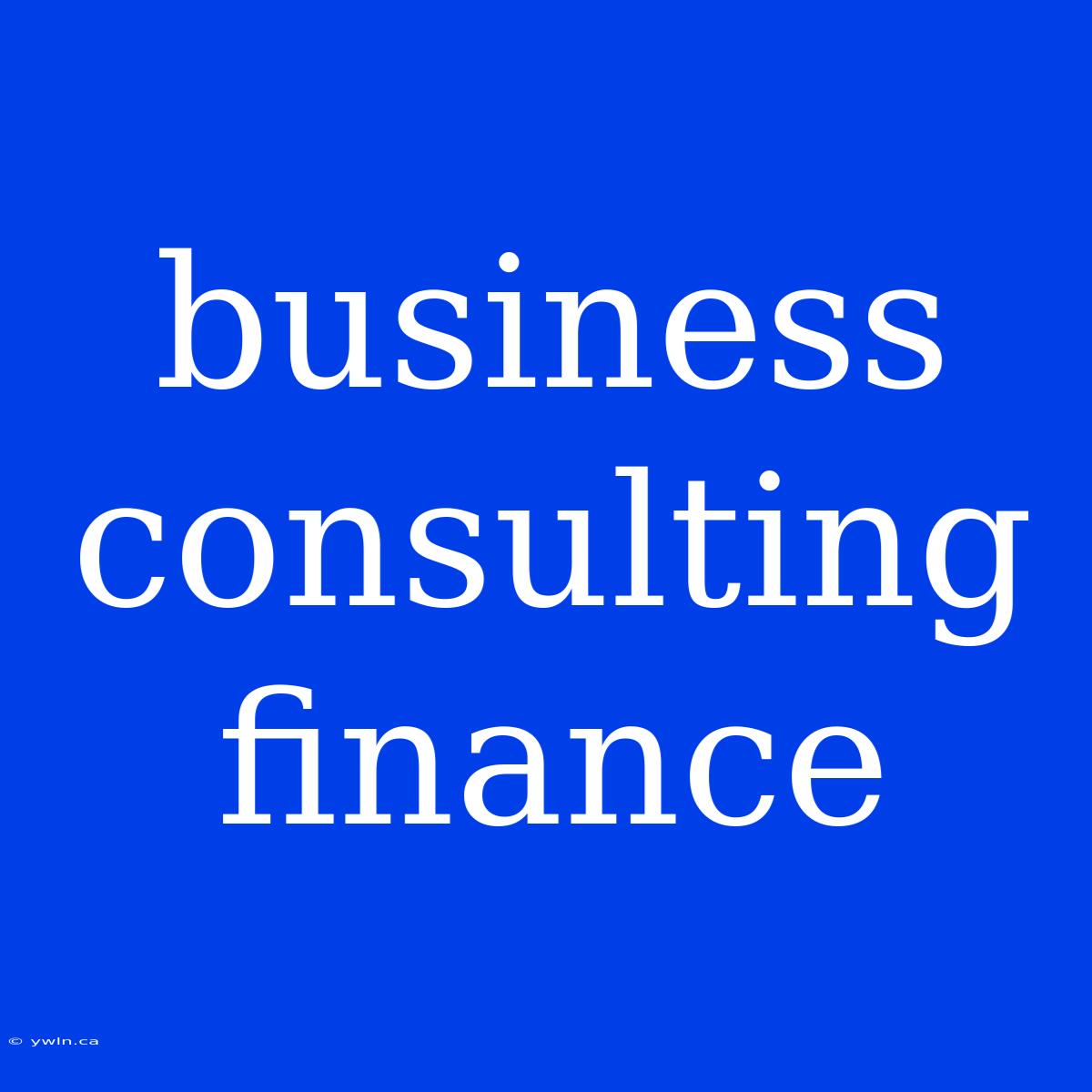 Business Consulting Finance