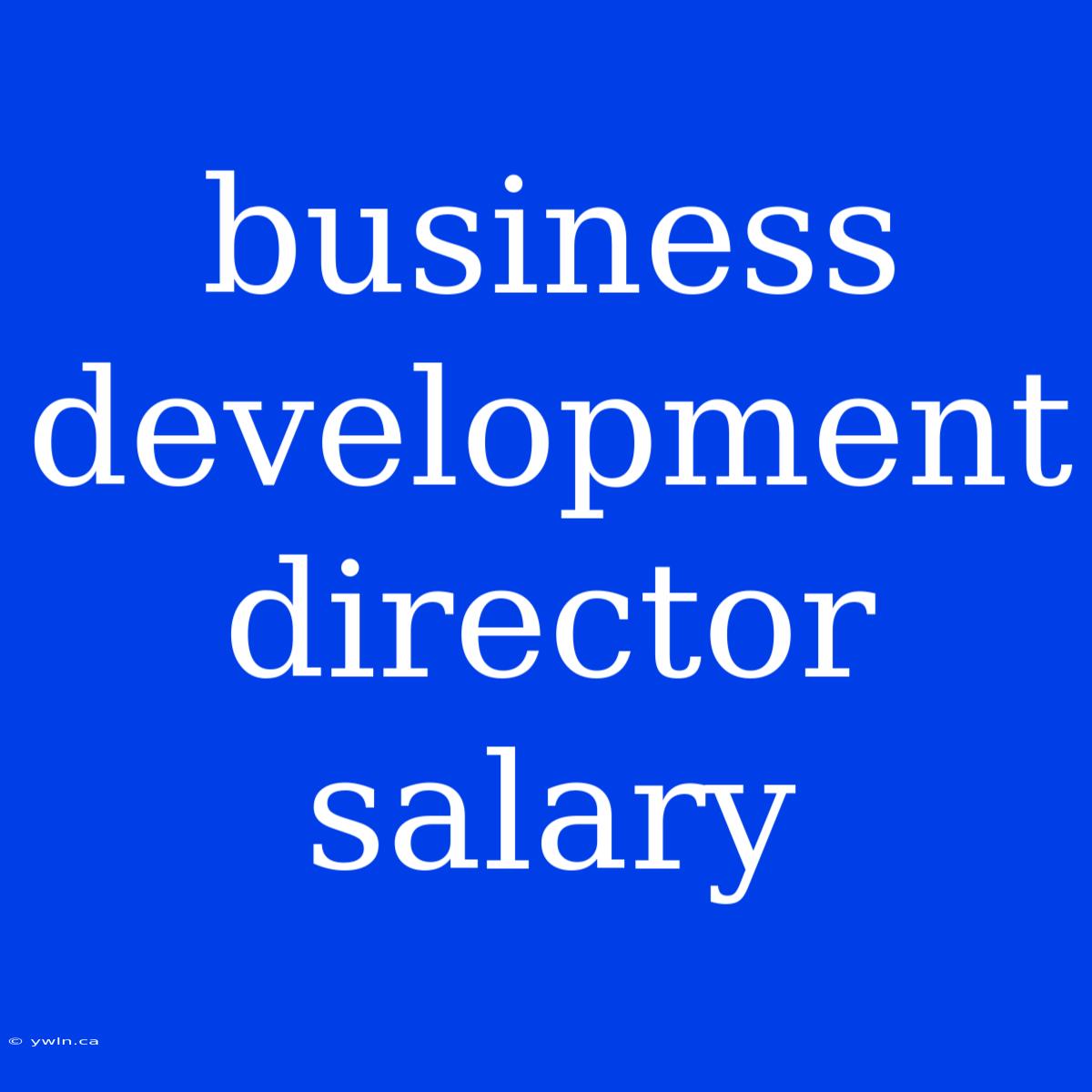 Business Development Director Salary