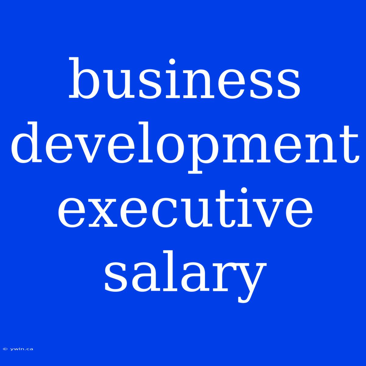 Business Development Executive Salary