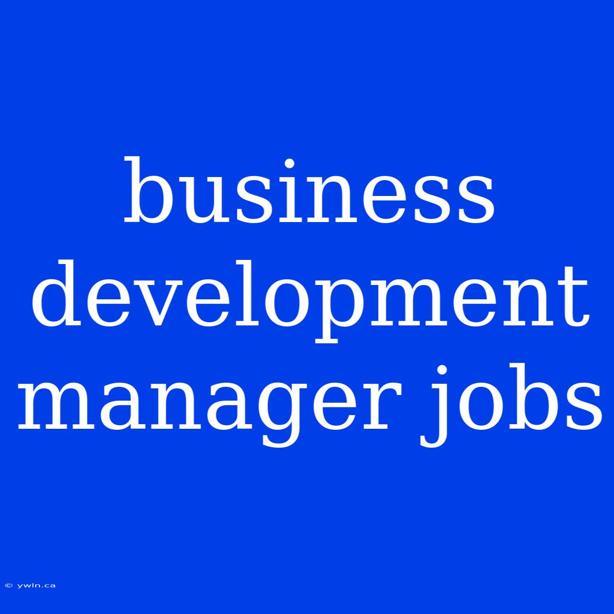 Business Development Manager Jobs