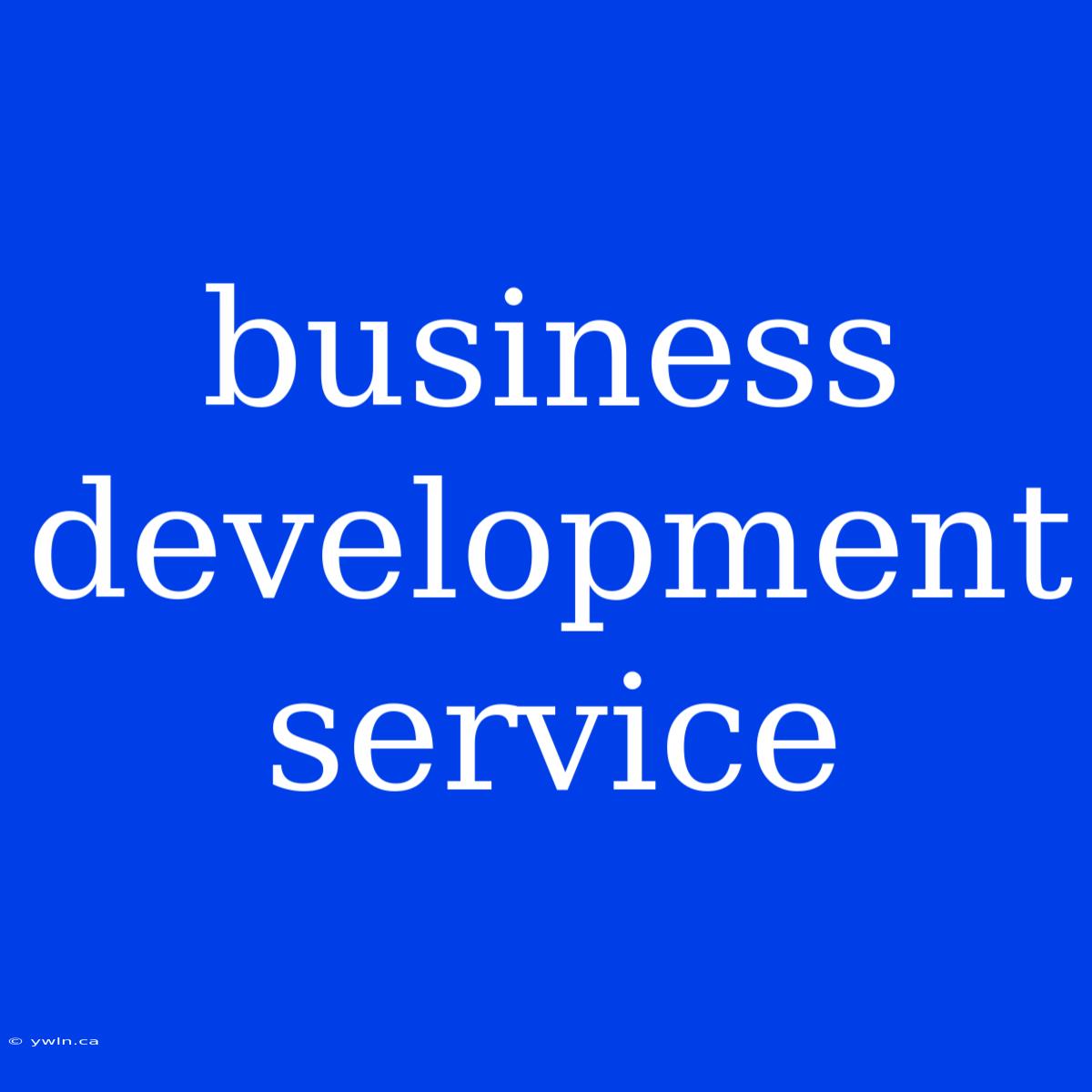 Business Development Service