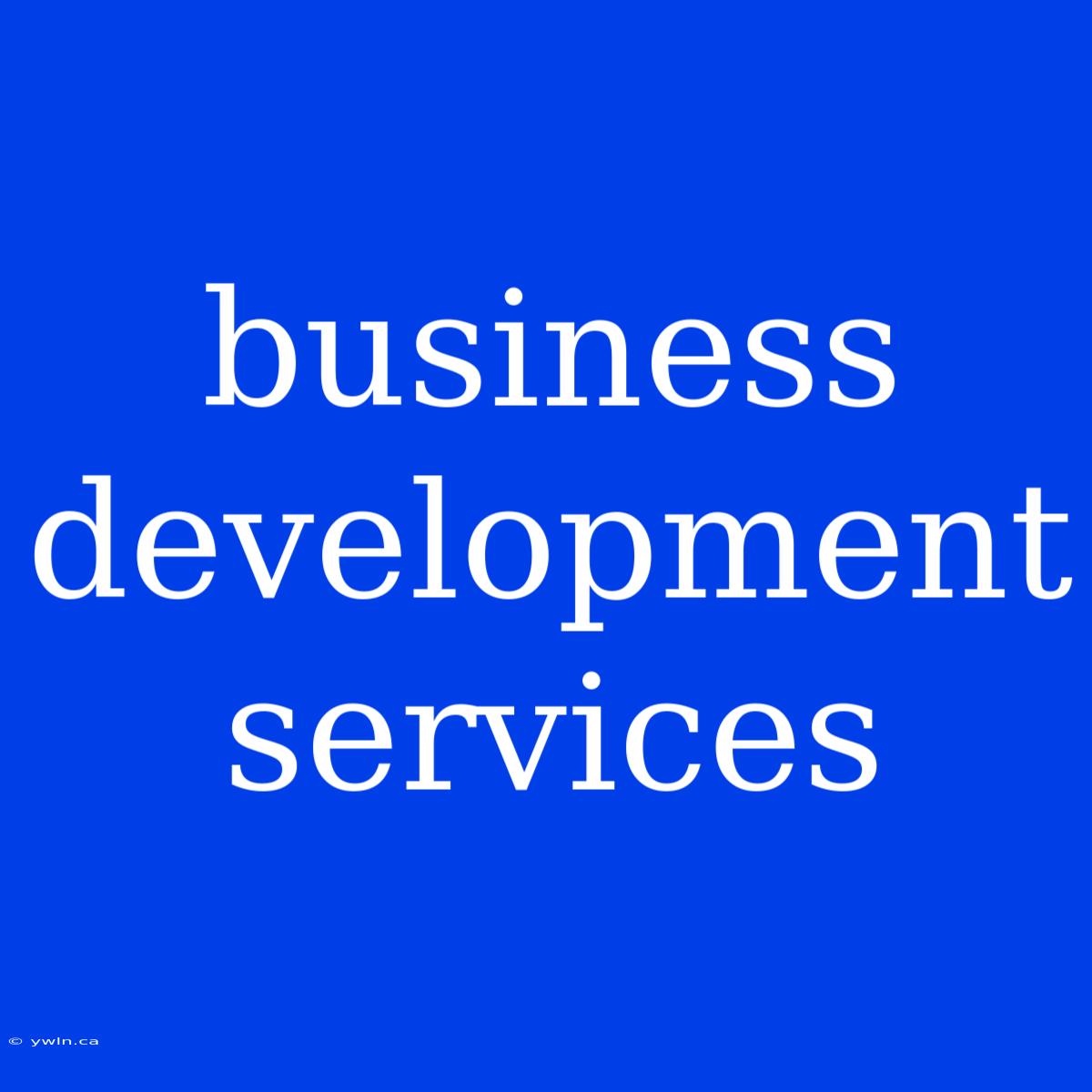 Business Development Services