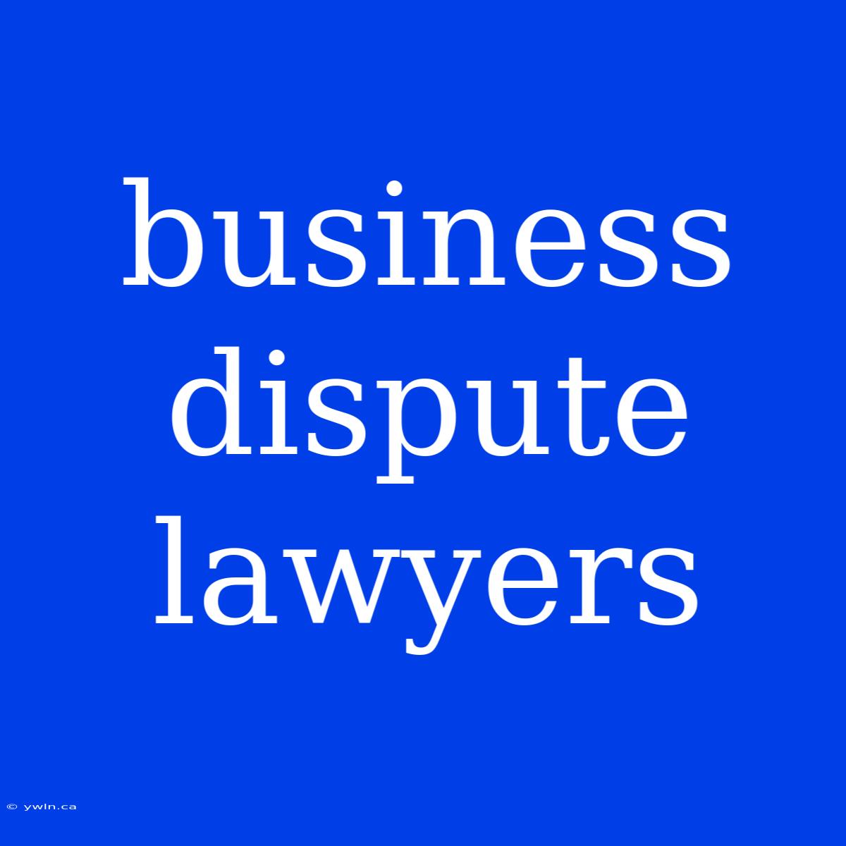 Business Dispute Lawyers