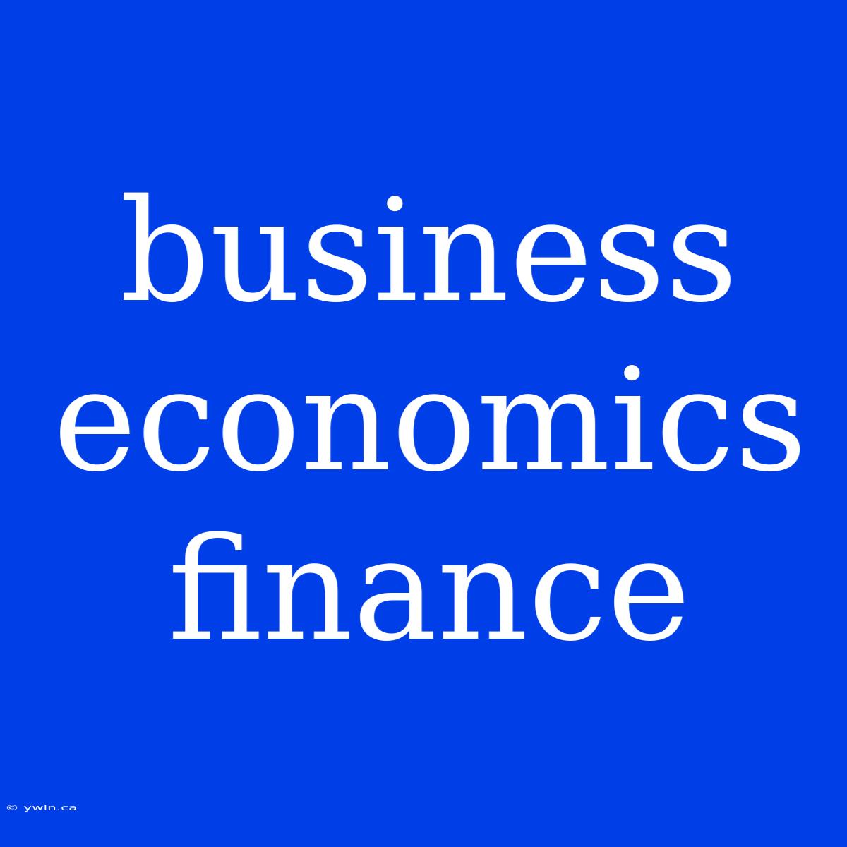 Business Economics Finance