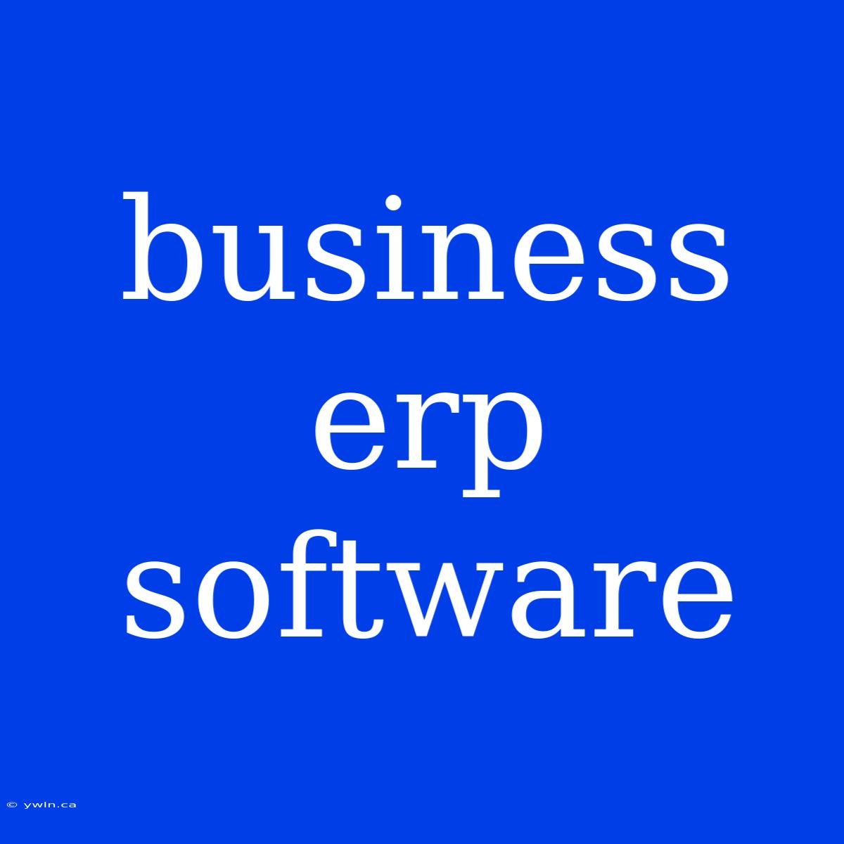 Business Erp Software