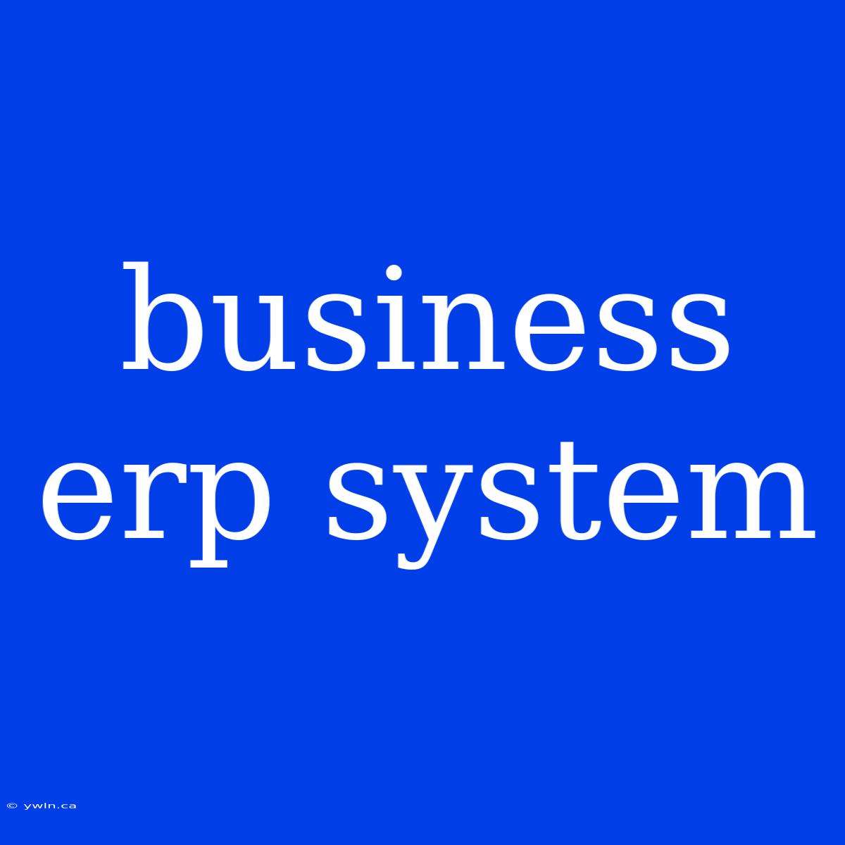 Business Erp System