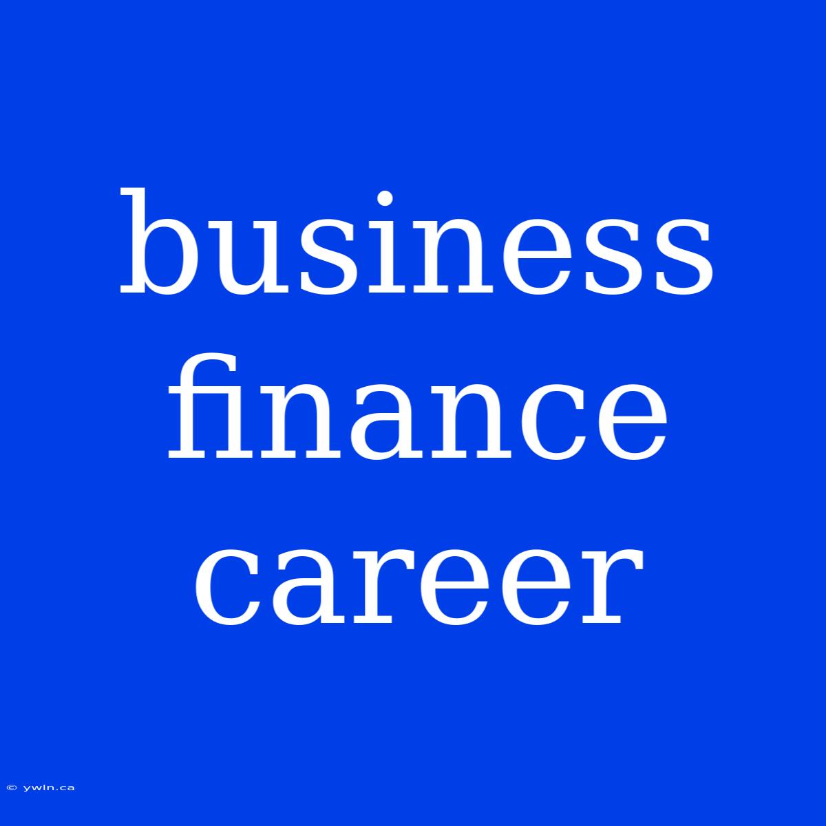 Business Finance Career