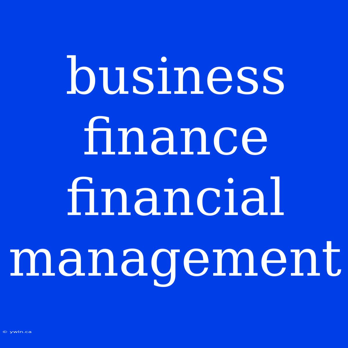 Business Finance Financial Management