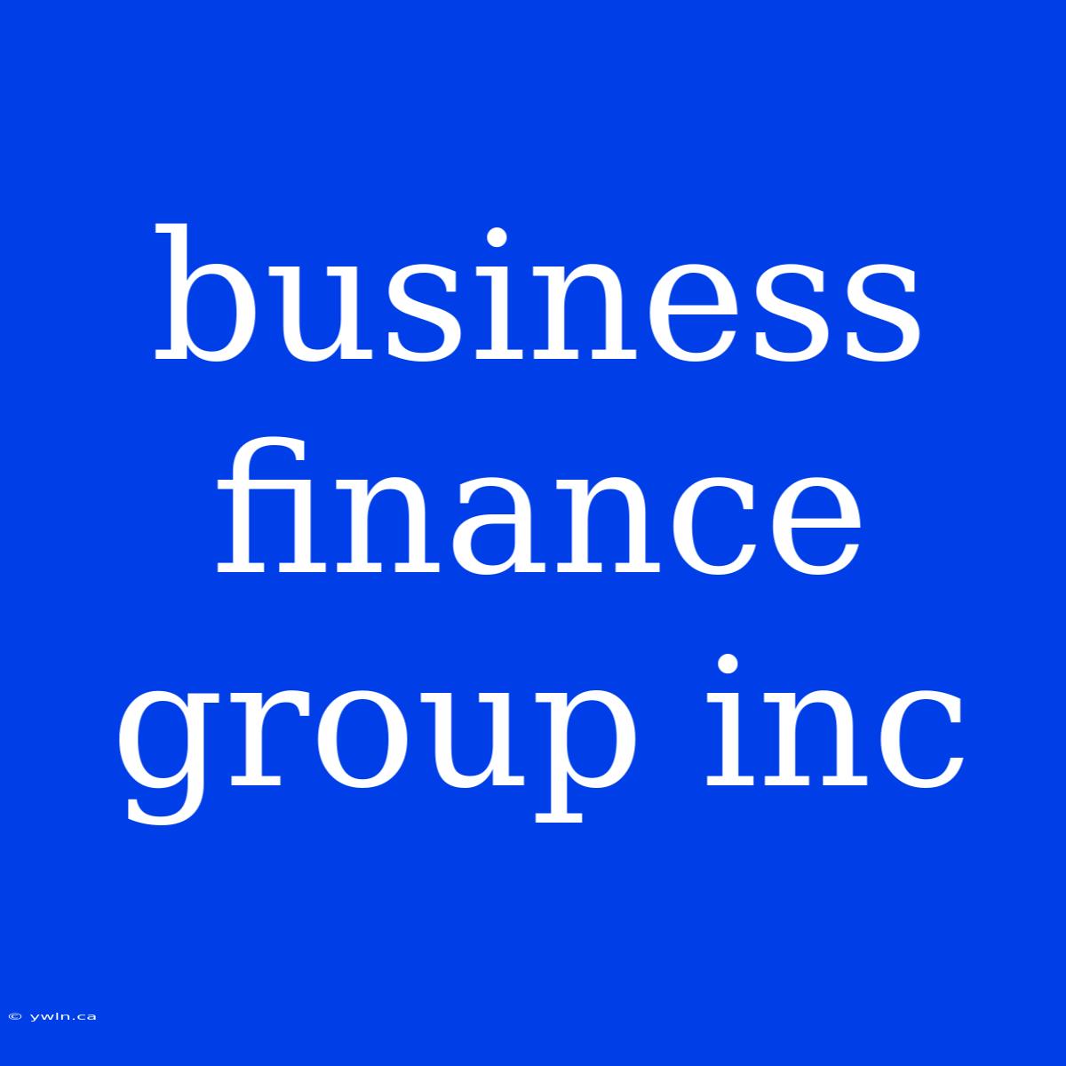 Business Finance Group Inc