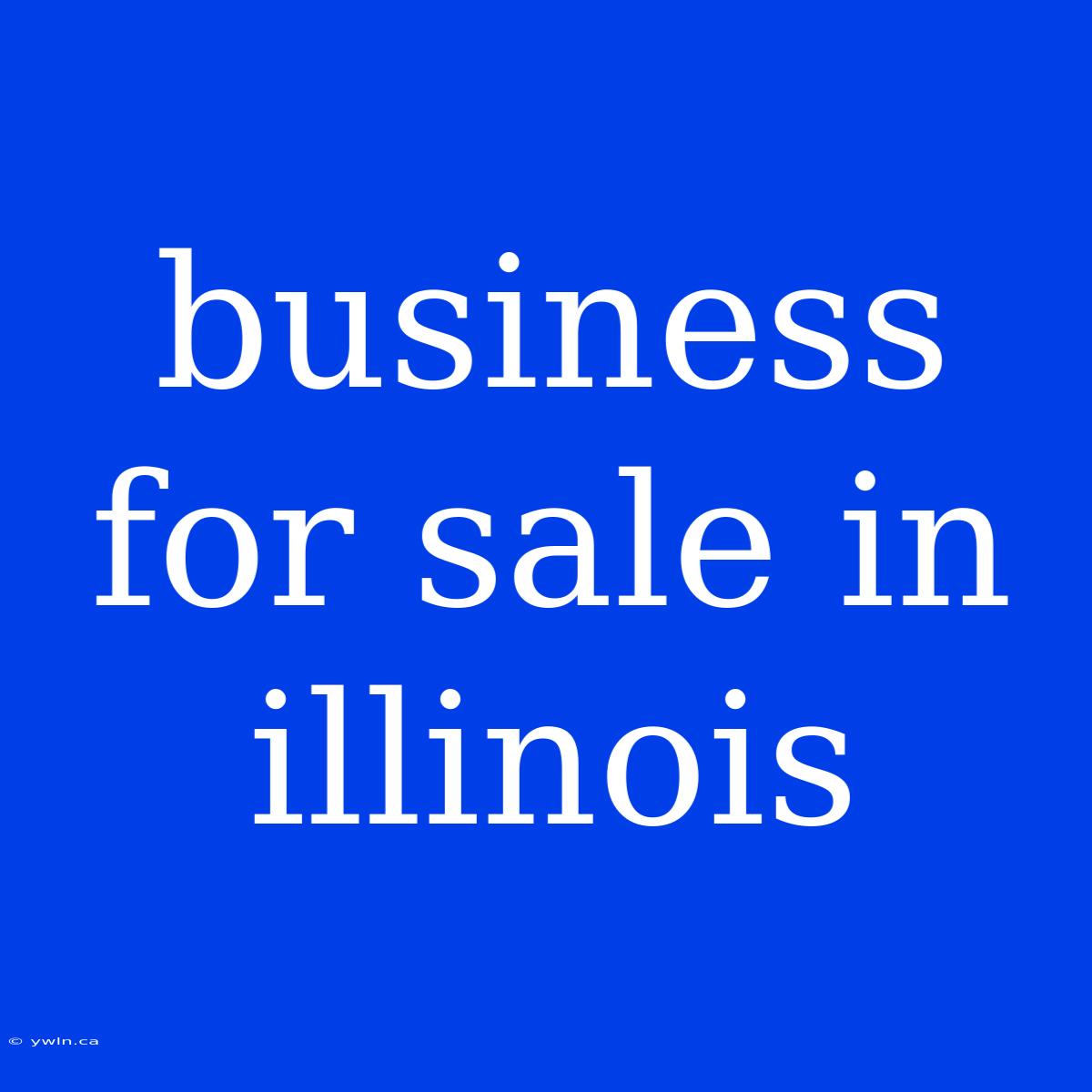 Business For Sale In Illinois