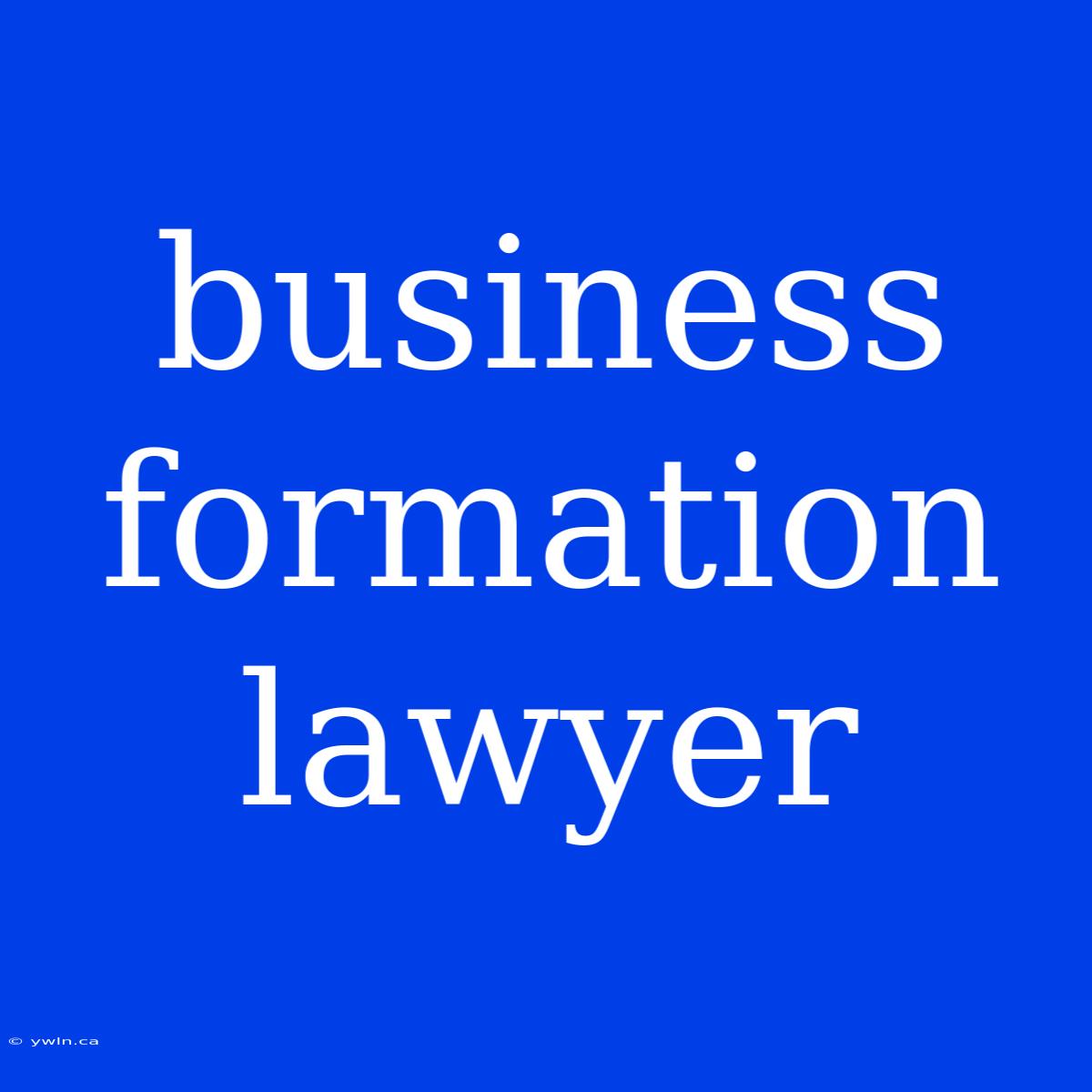 Business Formation Lawyer