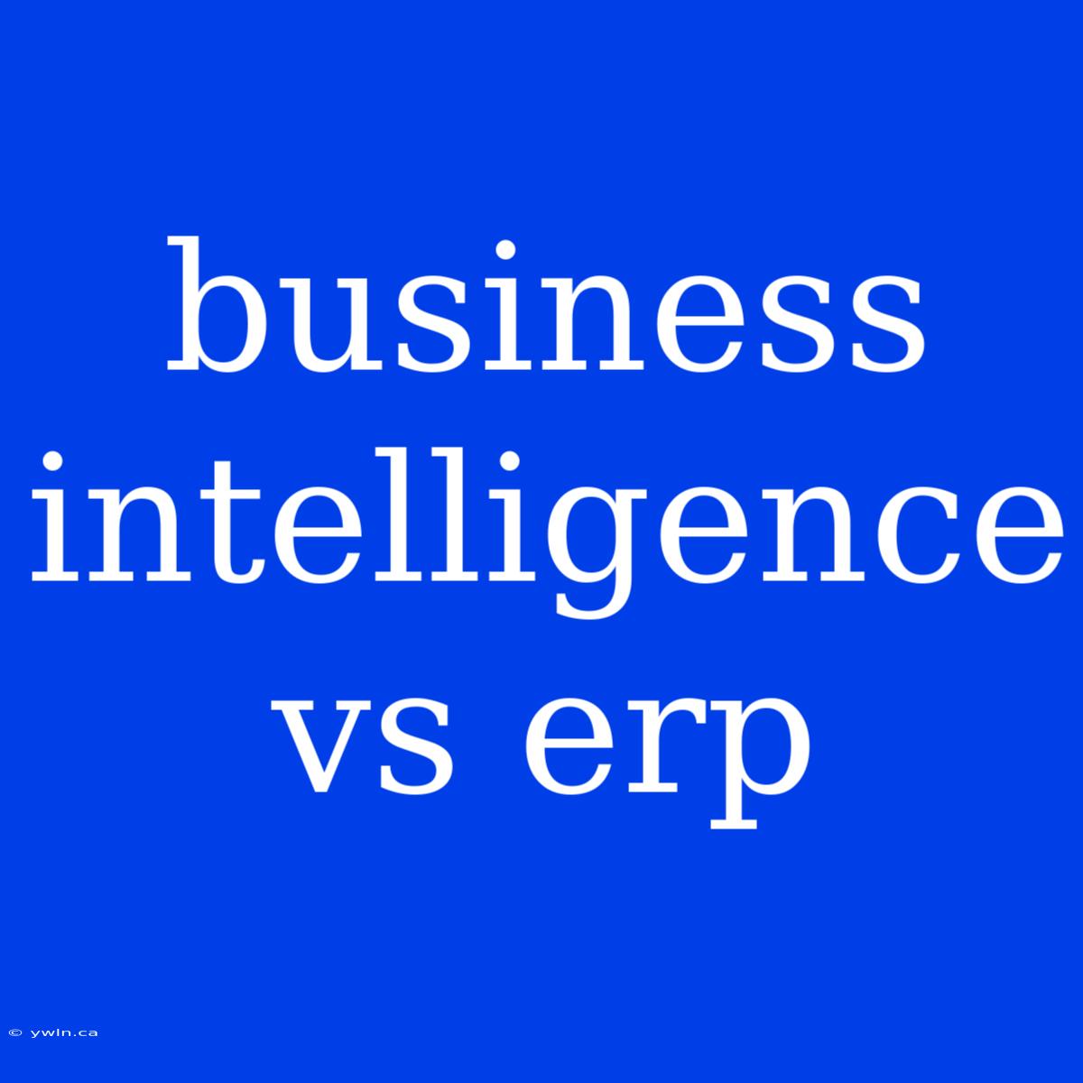 Business Intelligence Vs Erp