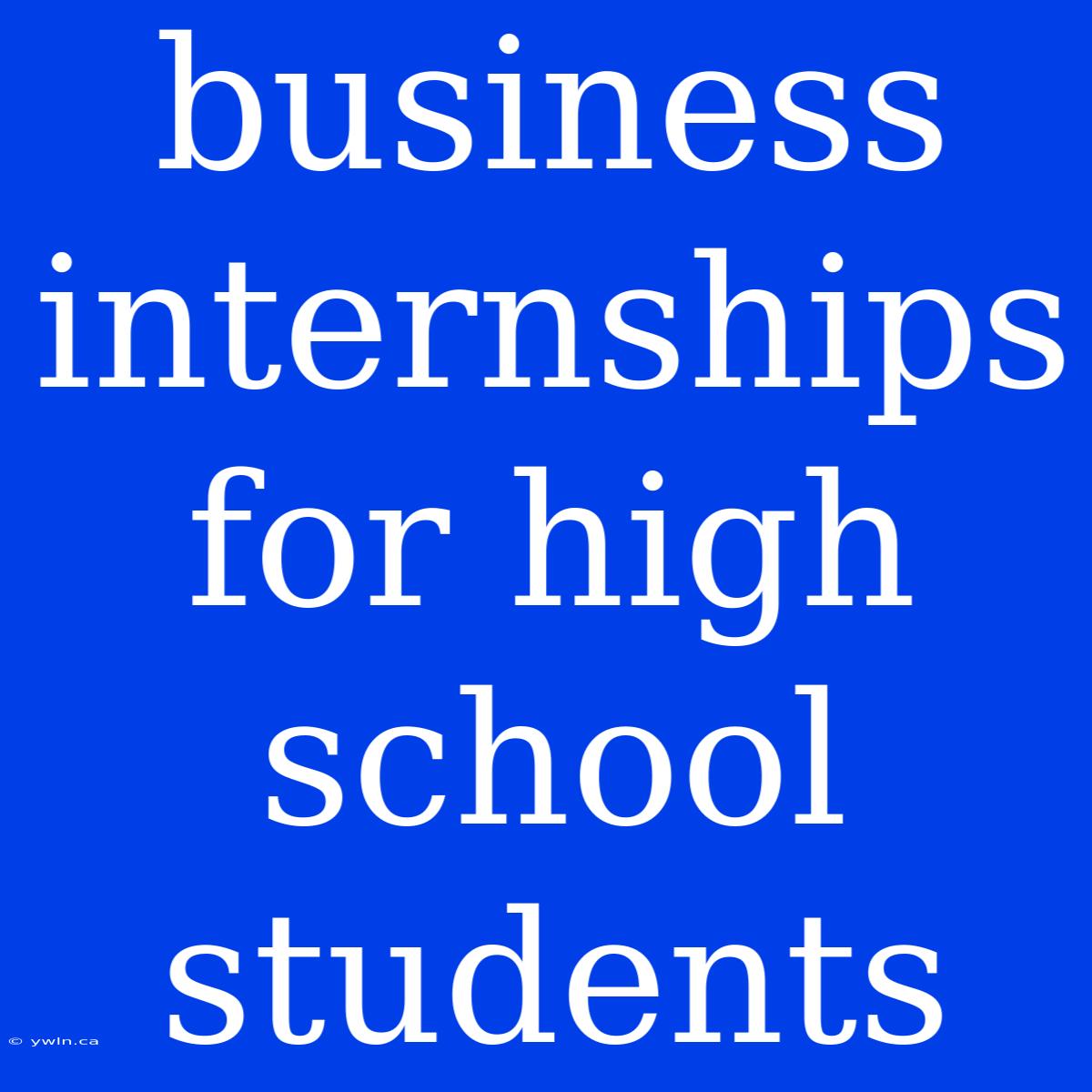 Business Internships For High School Students