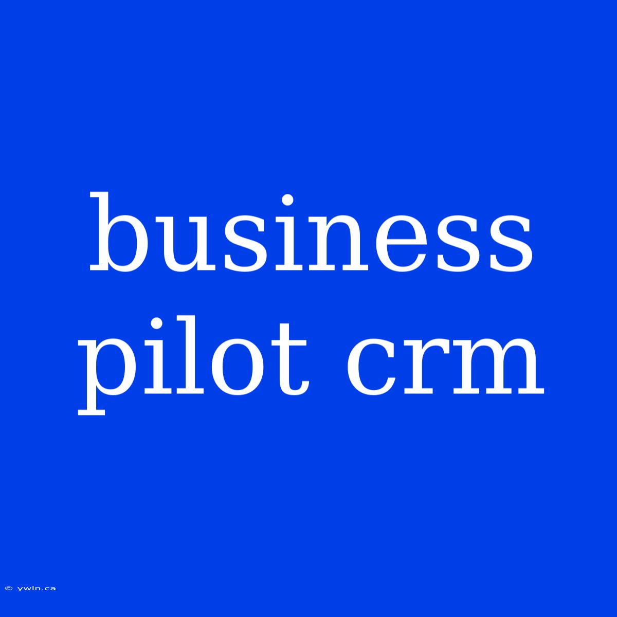 Business Pilot Crm