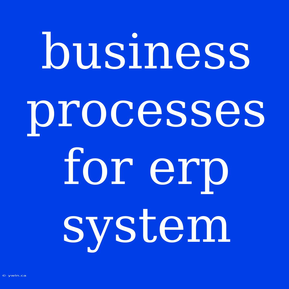 Business Processes For Erp System