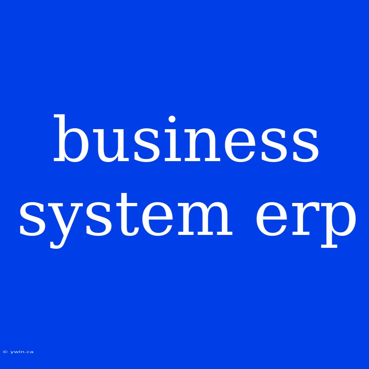 Business System Erp