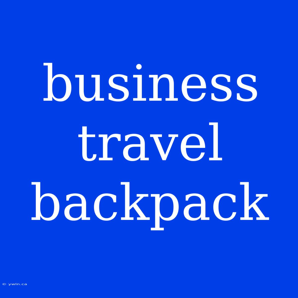 Business Travel Backpack