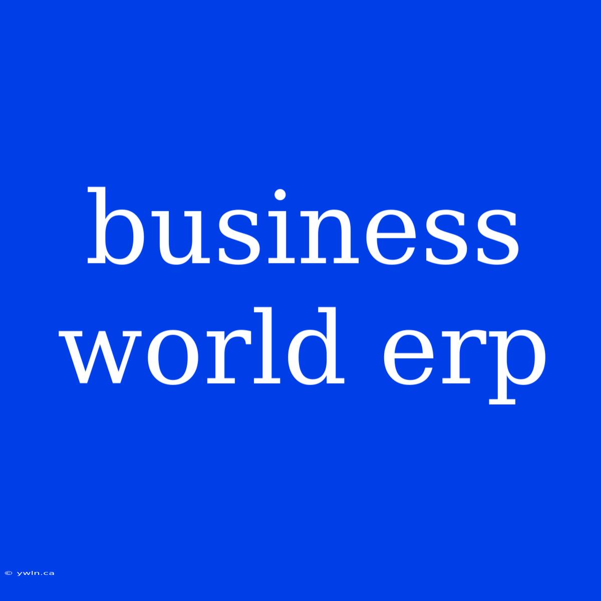 Business World Erp