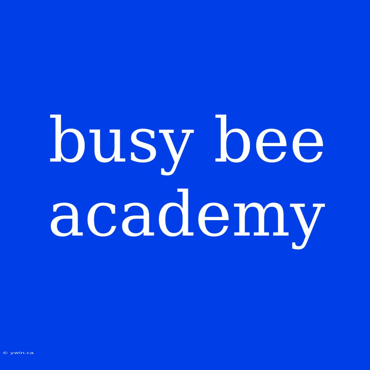 Busy Bee Academy