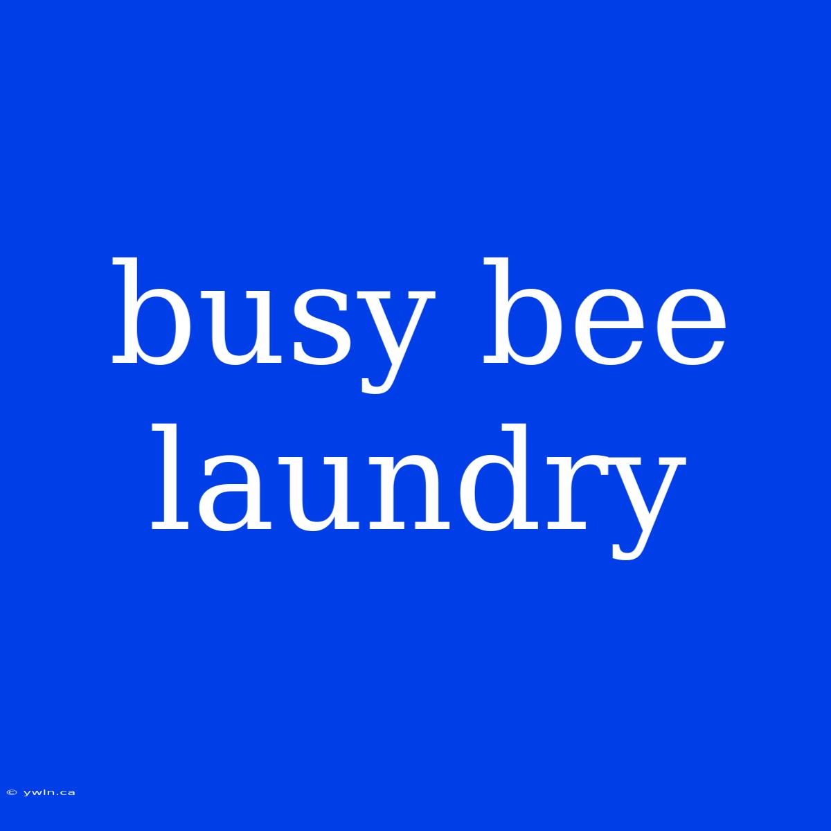 Busy Bee Laundry