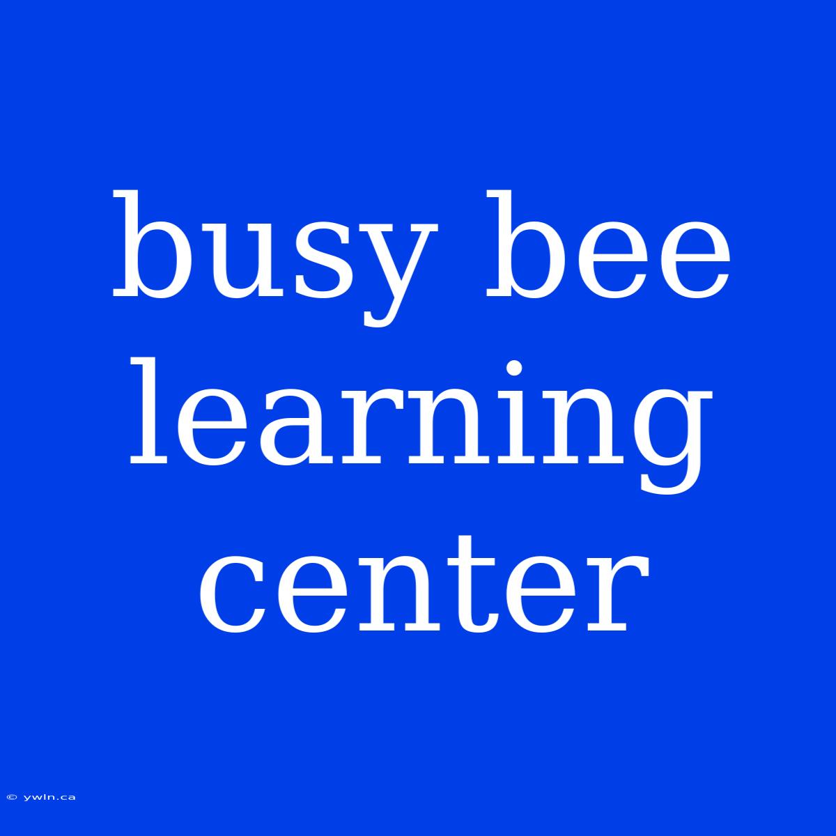 Busy Bee Learning Center