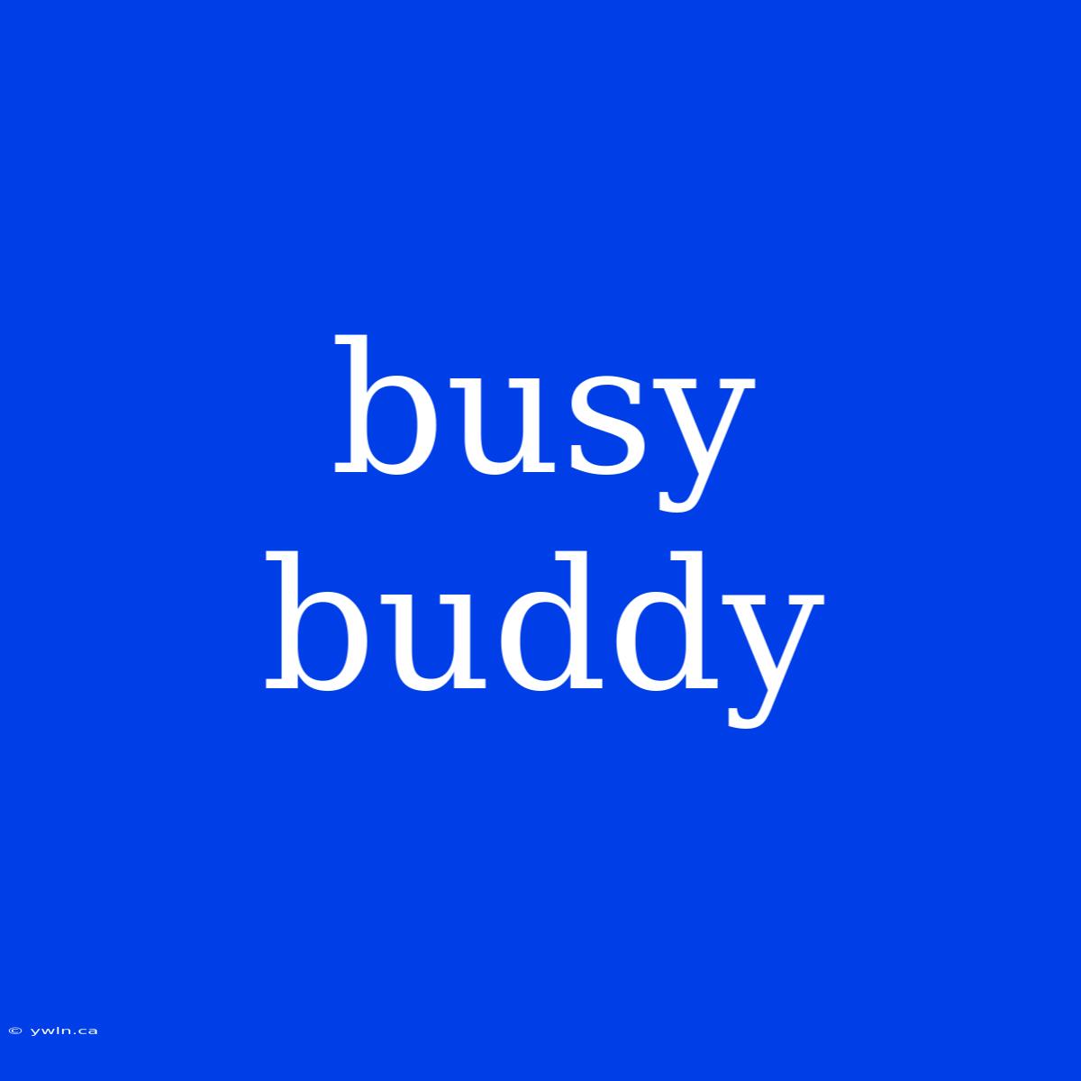 Busy Buddy