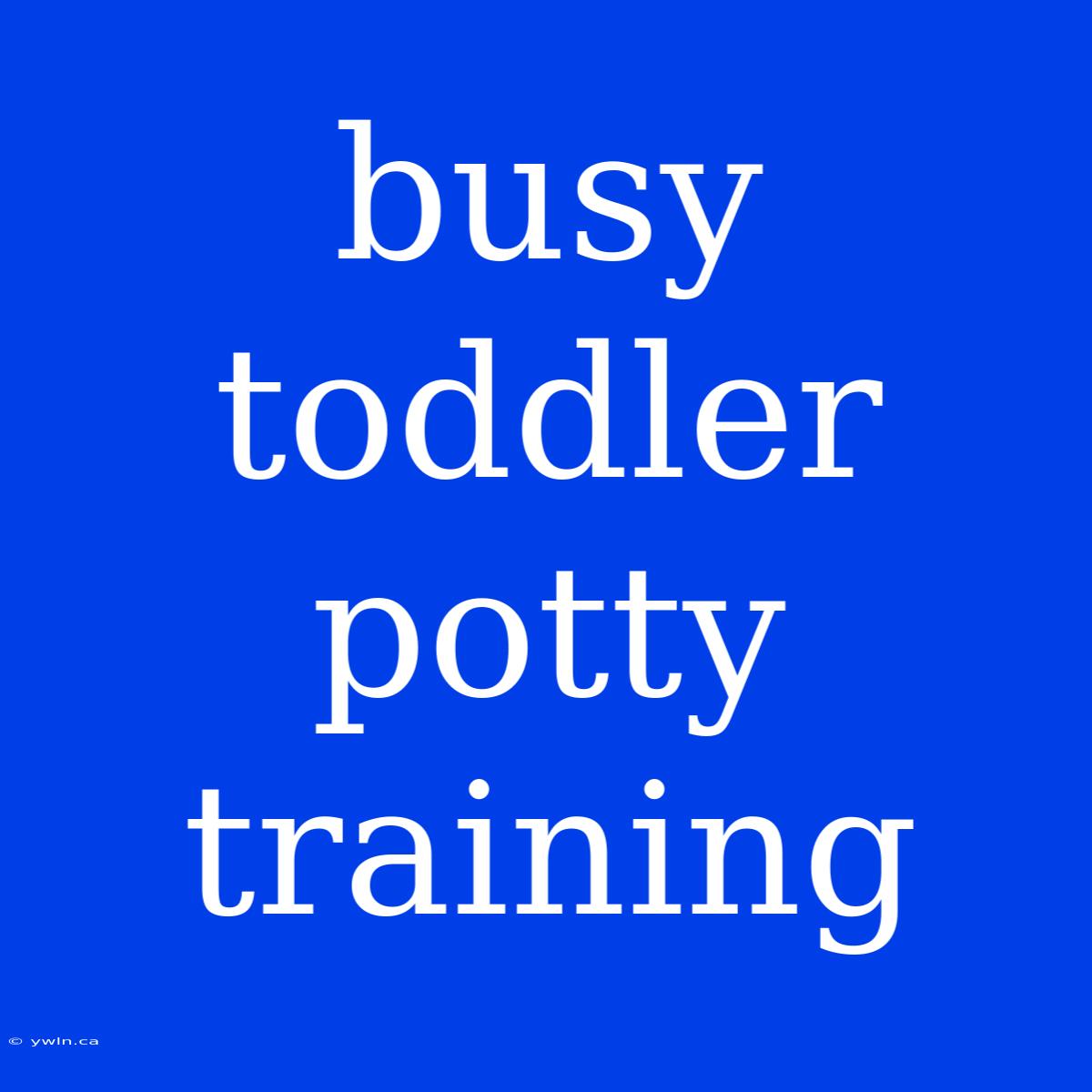 Busy Toddler Potty Training