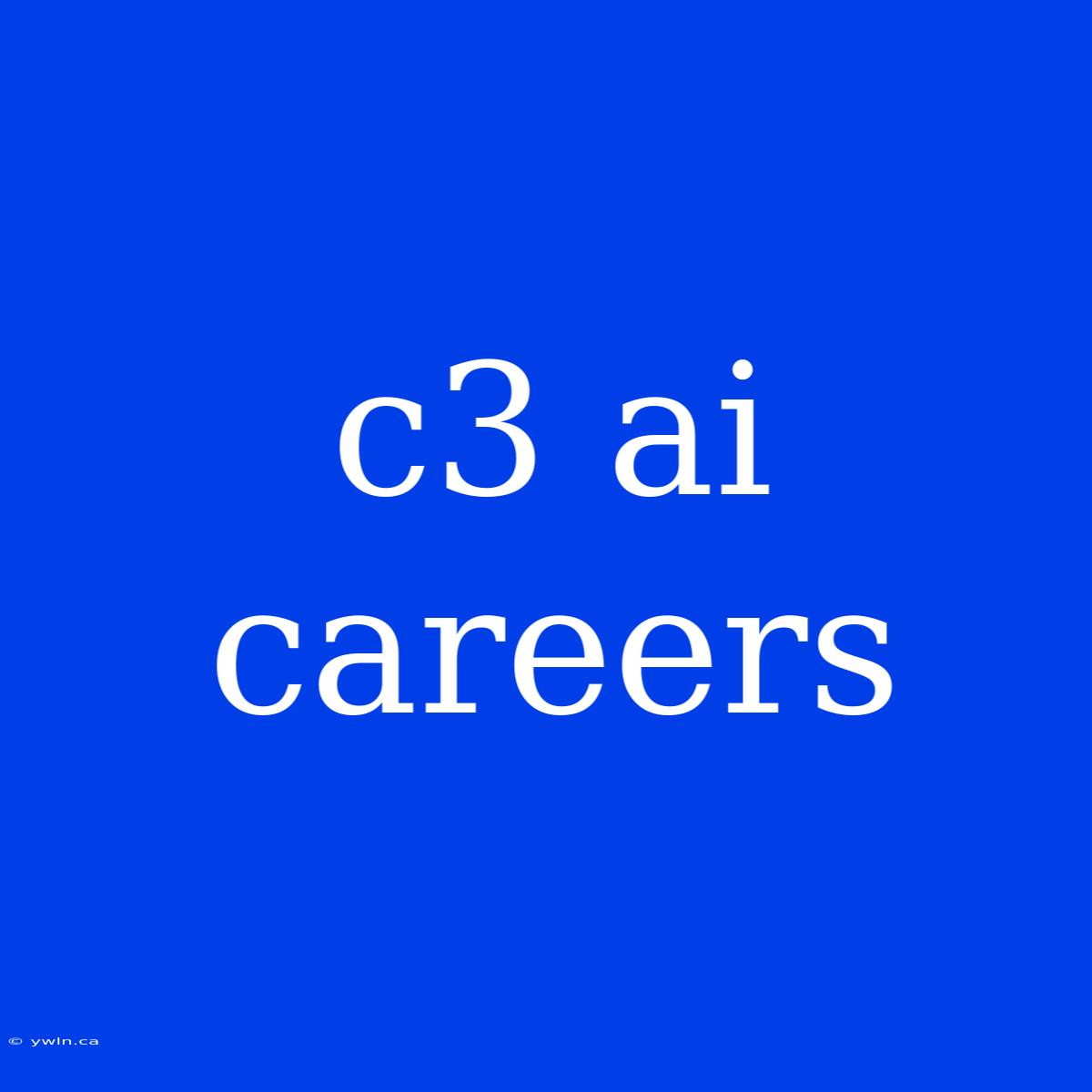 C3 Ai Careers