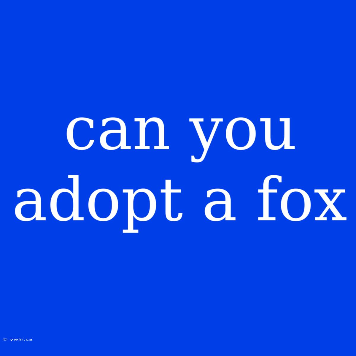 Can You Adopt A Fox